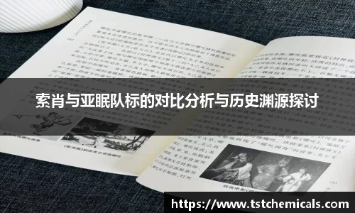 索肖与亚眠队标的对比分析与历史渊源探讨